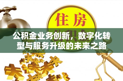 乃东公积金业务创新，数字化转型与服务升级的未来之路