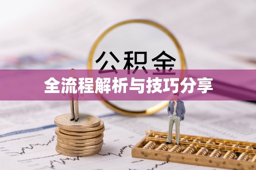 乃东全流程解析与技巧分享