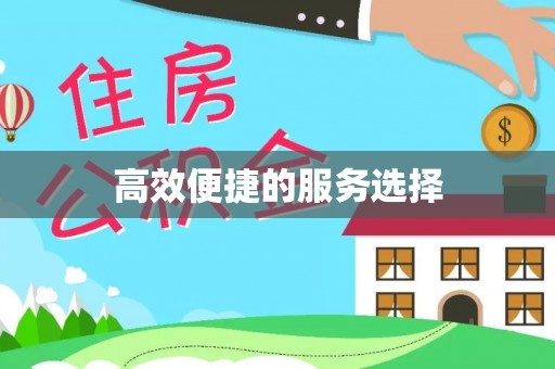 乃东高效便捷的服务选择